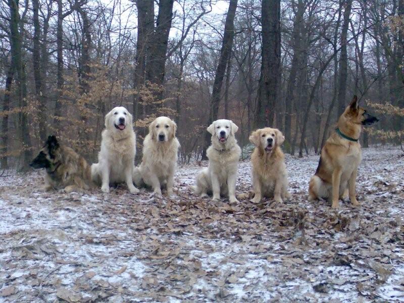 Albia, Bartoloměj, Carlsson, Carlie, Falco, Ája